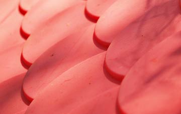 Cowplain plastic roof costs