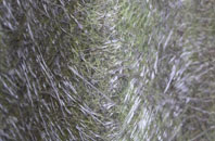 Cowplain fibreglass roof work